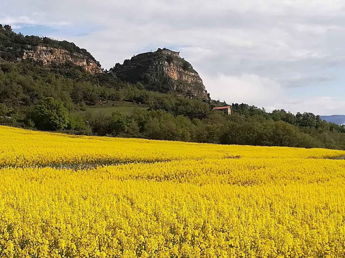 Lo Cel De Tolo Pension Buitenkant foto