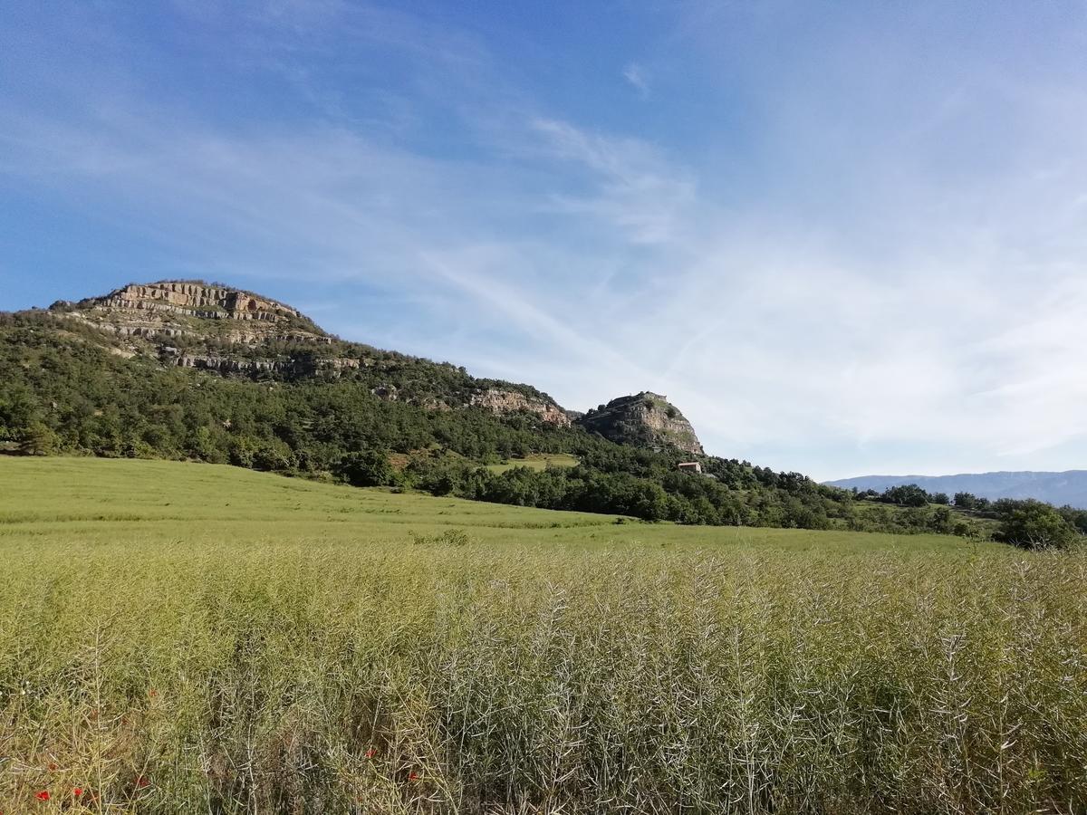 Lo Cel De Tolo Pension Buitenkant foto