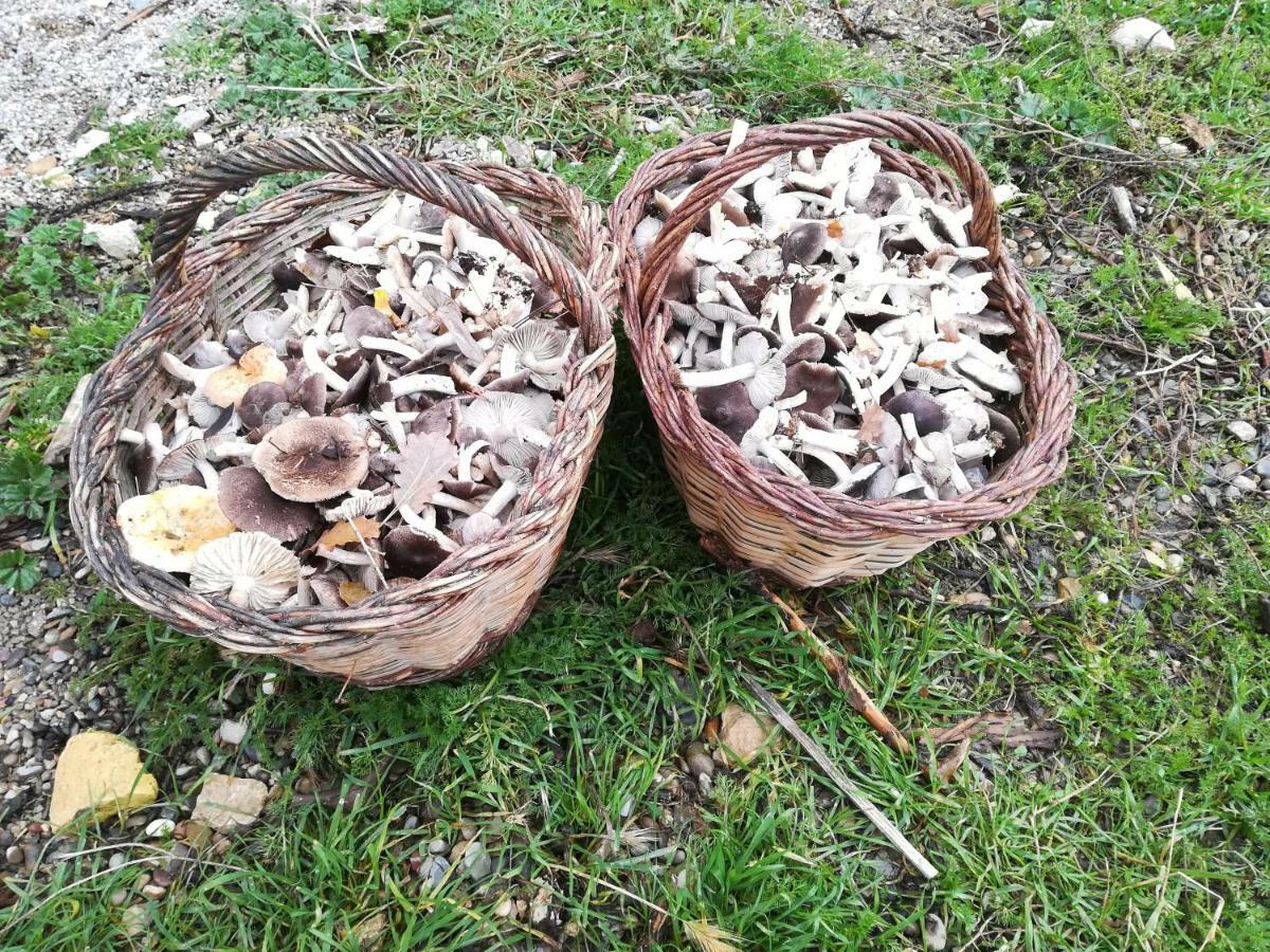 Lo Cel De Tolo Pension Buitenkant foto