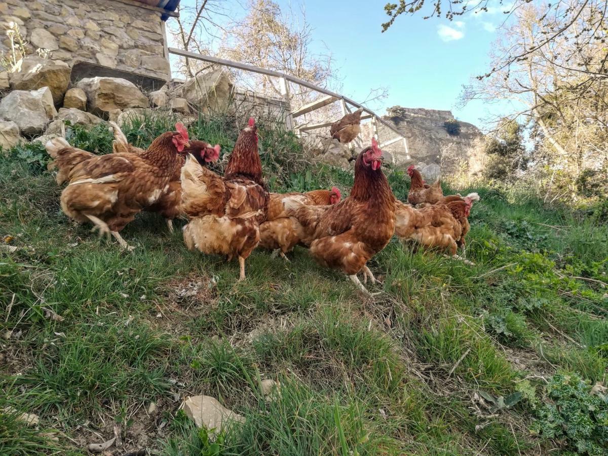 Lo Cel De Tolo Pension Buitenkant foto